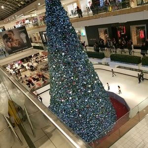 Meet your Posher, Iliana